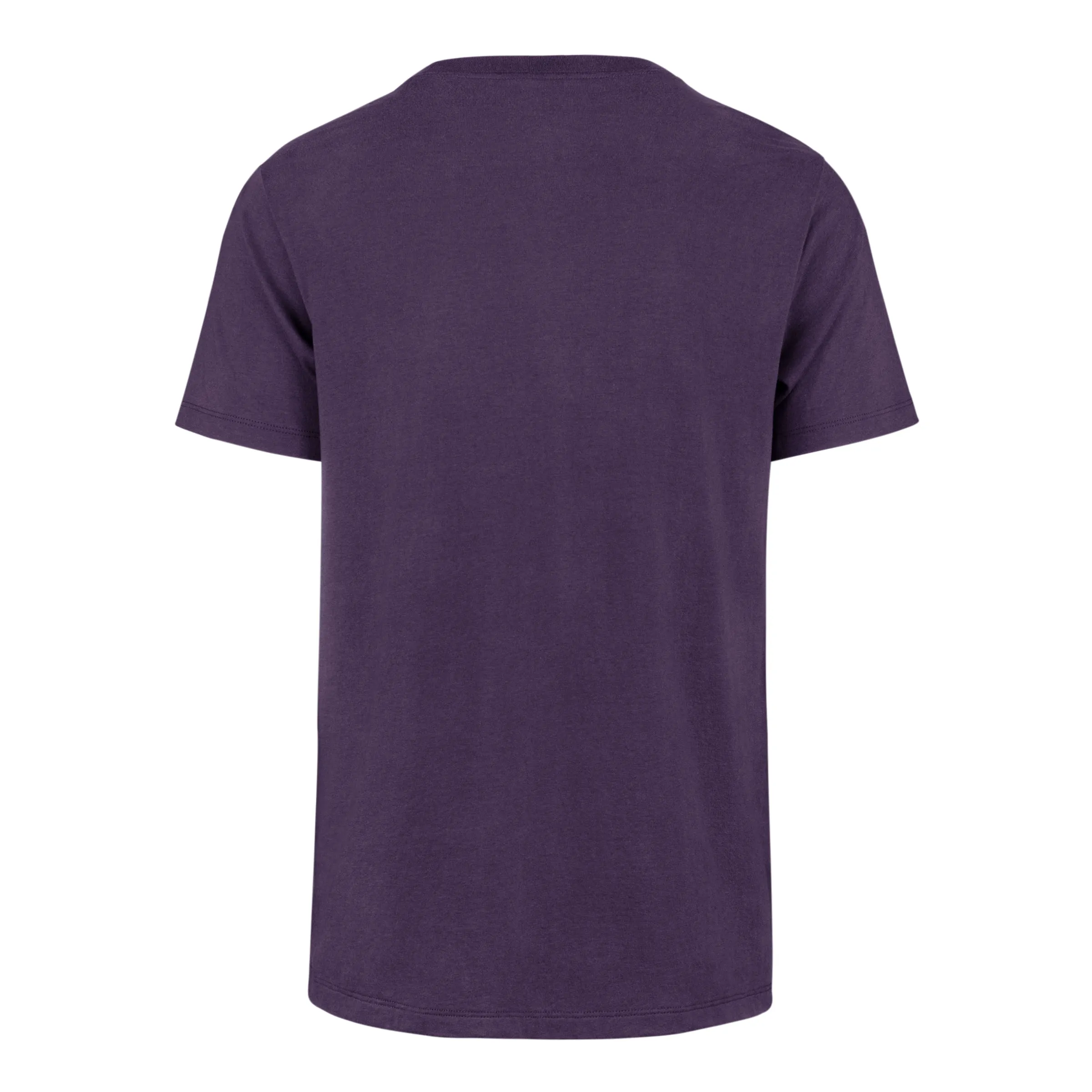 CHARLOTTE HORNETS PREMIER '47 FRANKLIN TEE